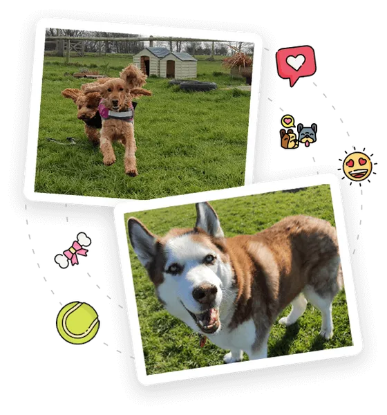 Bonnie and Kodi enjoying the day at Joey's