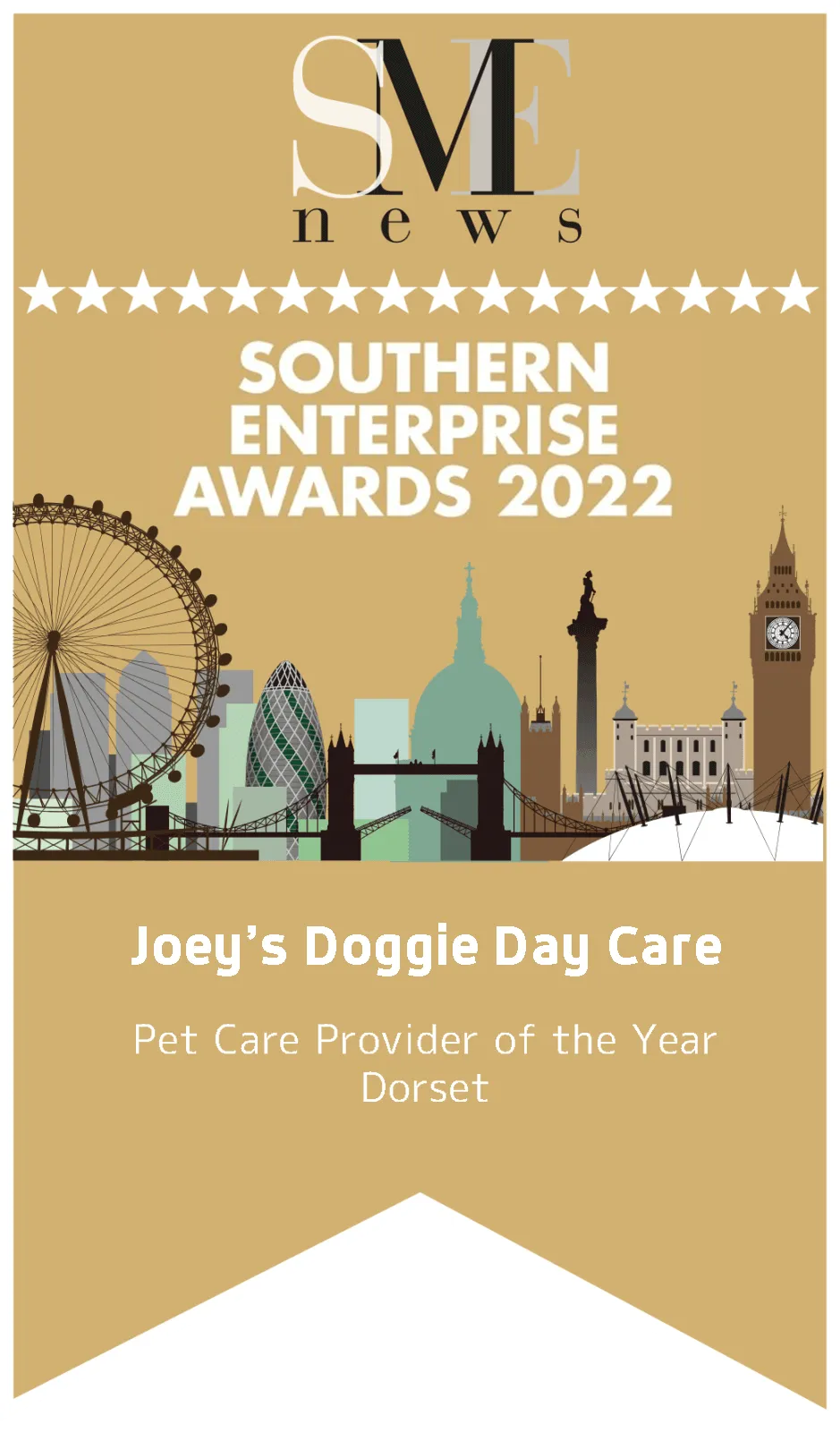 Joey’s Doggie Day Care Southern Enterprise Awards 2022 winner certificate