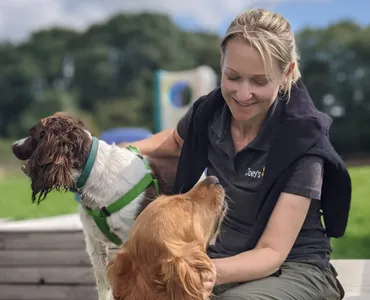 Sara with the dogs