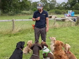 Tom training the dogs