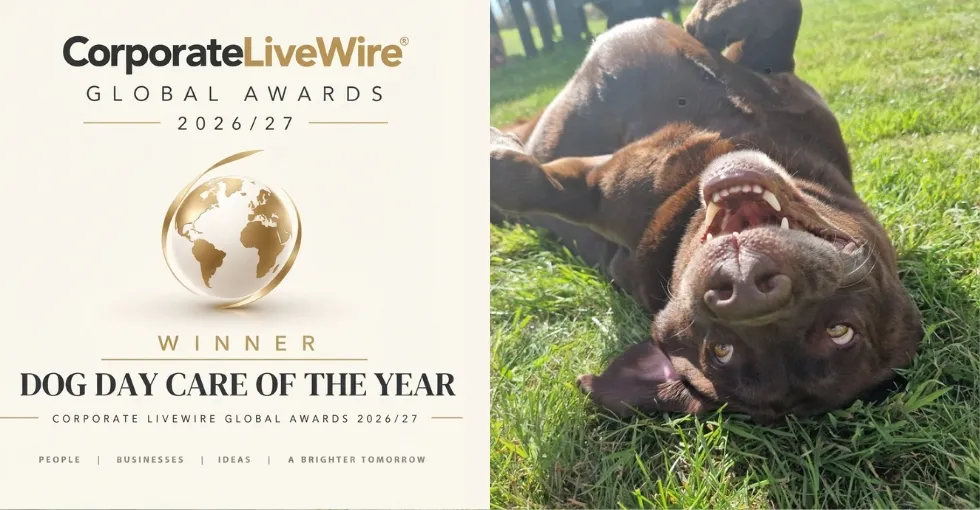 Corporate LiveWire Global Awards 2026/27 winner, Dog Day Care of the Year, next to a happy chocolate labrador rolling in the grass
