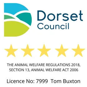 Dorset Council 5 star licence, Licence No: 7999 Tom Buxton