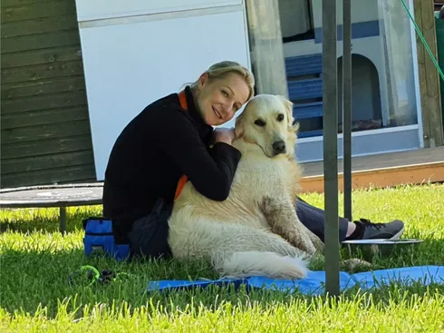 Golden retriever having a cuddle