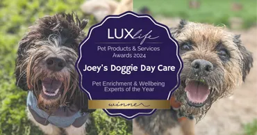Joey's Doggie Day Care named Enrichment & Wellbeing Experts of the Year 2024 by LUXlife