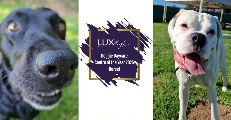 LUXlife Doggie Daycare Centre of the Year 2026 Dorset award, flanked by two happy dogs at Joey's