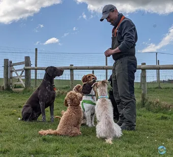 Tom at treat time at Joey's Doggie Day Care