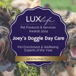 Joey’s wins the Enrichment & Wellbeing Experts of the Year 2024 by LUXlife Magazine!